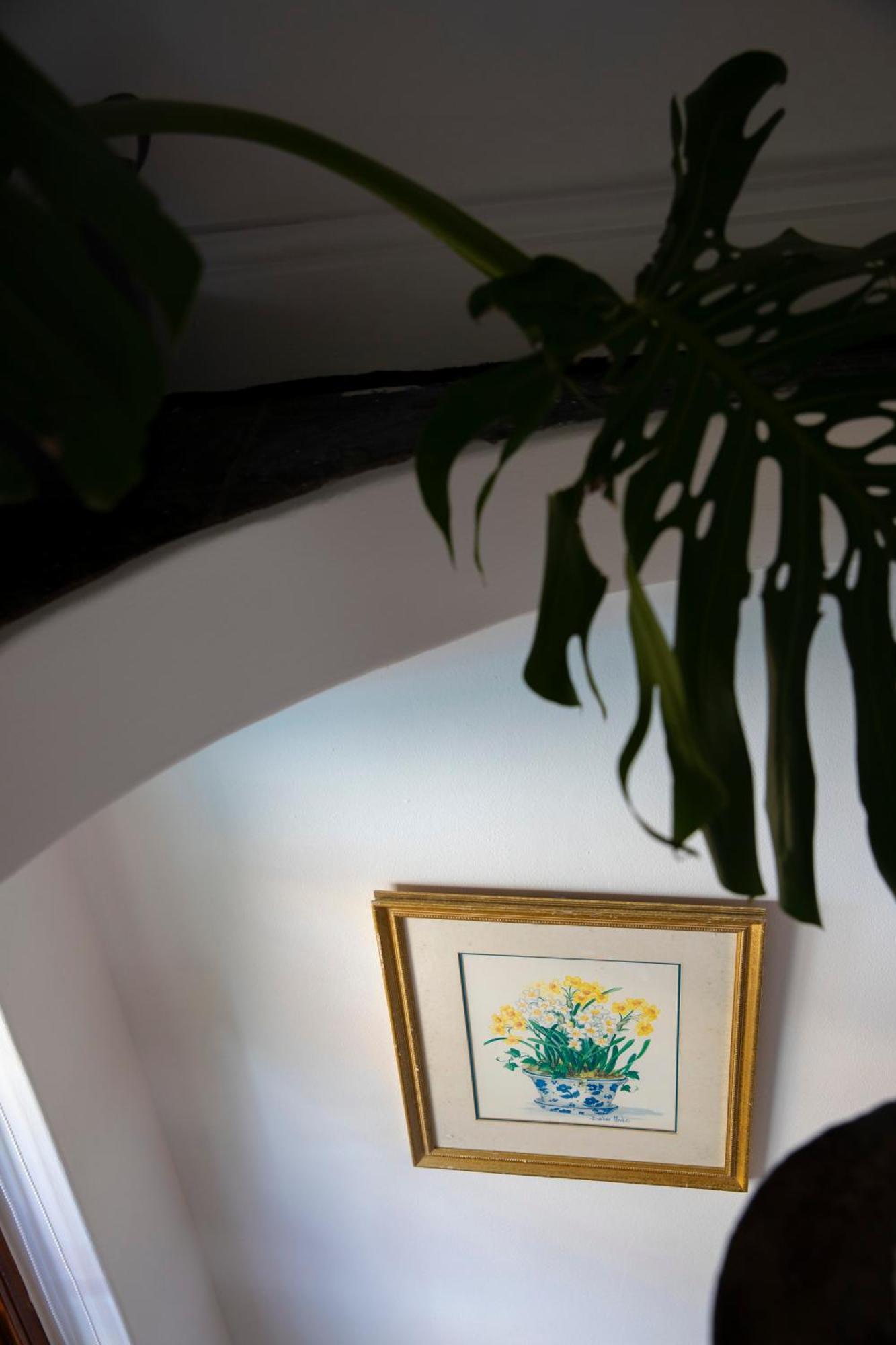 فندق Ami Vine House كيب تاون المظهر الخارجي الصورة