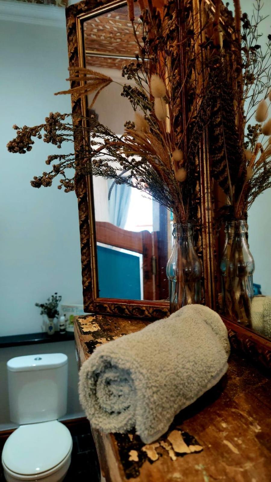 فندق Ami Vine House كيب تاون المظهر الخارجي الصورة